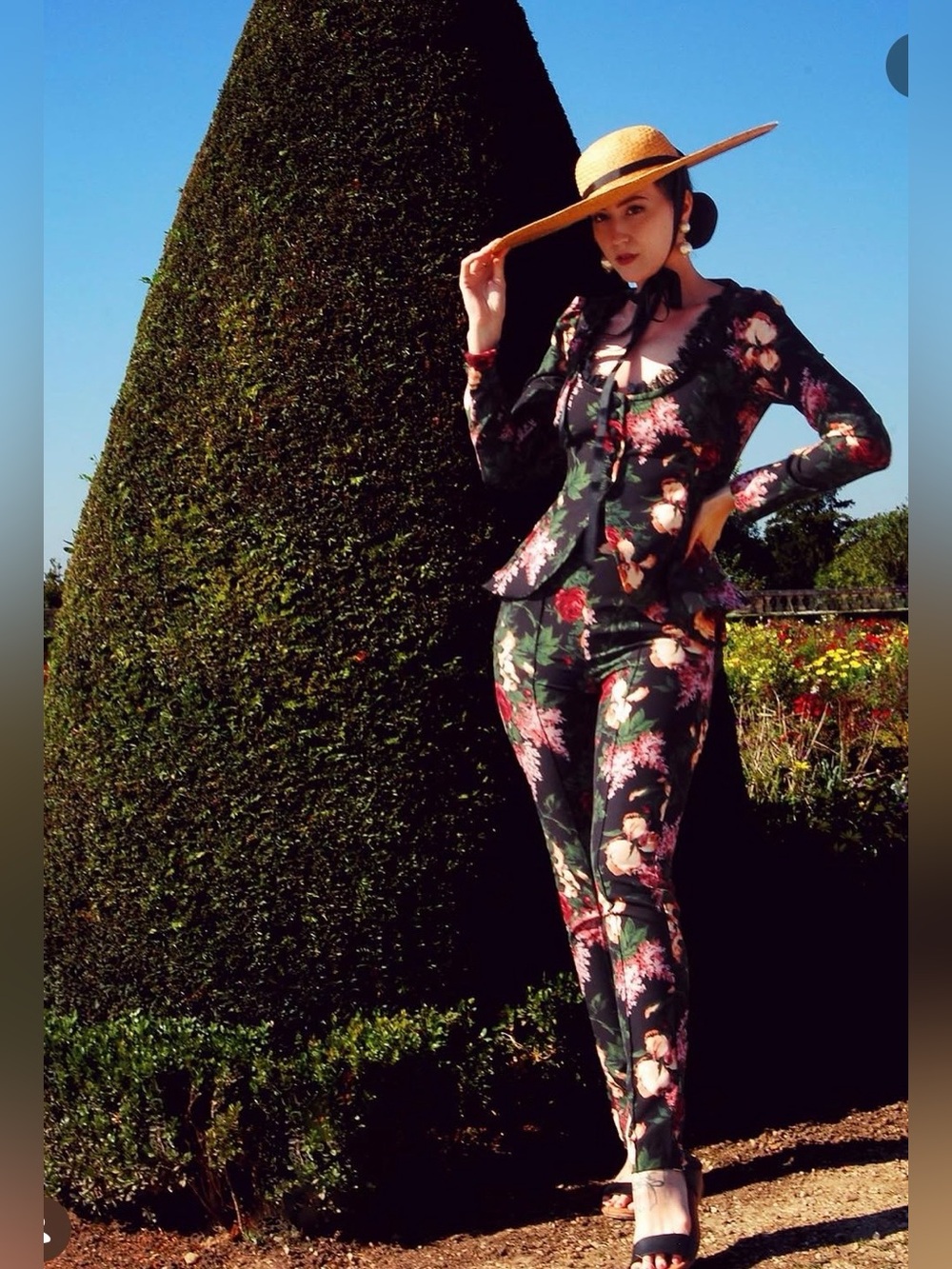 Pinup Couture Laura Byrnes PUG Dress Pants In Dark Bella Roses Size S NWOT - Picture 2 of 6